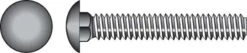 Hillman 5/16 In. X 3 In. L Stainless Steel Carriage Bolt 25 Pk