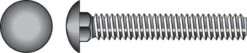 Hillman 1/4 In. X 3-1/2 In. L Stainless Steel Carriage Bolt 25 Pk