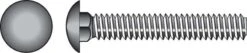 Hillman 1/4 In. X 2 In. L Stainless Steel Carriage Bolt 50 Pk